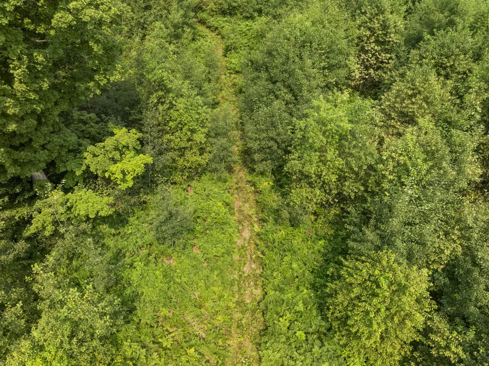 S Thompsonville Highway Thompsonville, MI 49683