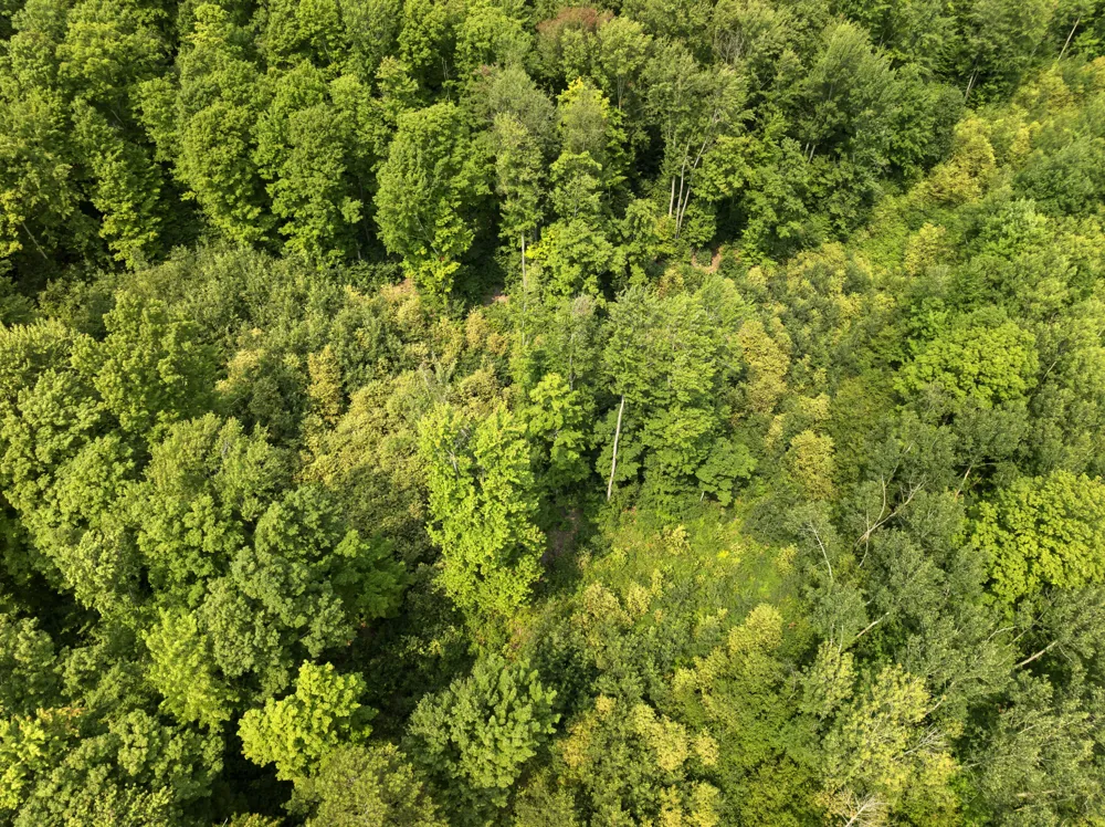 S Thompsonville Highway Thompsonville, MI 49683