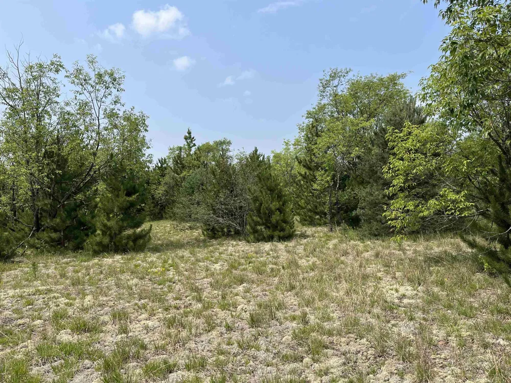 S Westwood Rapid River Township, MI 49646