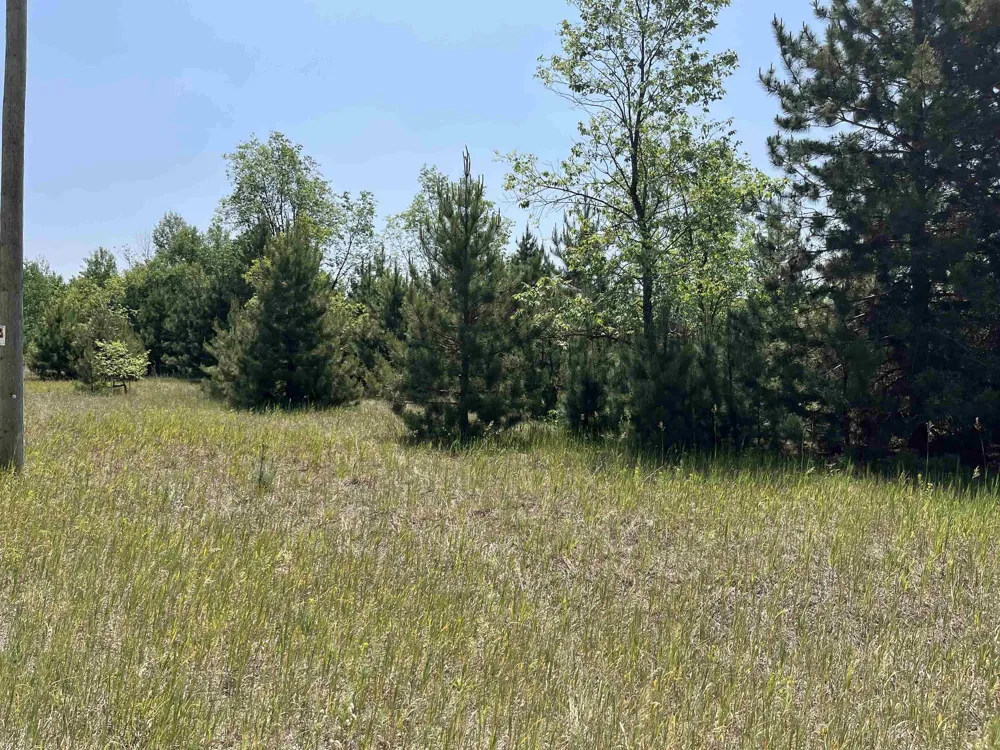 S Westwood Rapid River Township, MI 49646