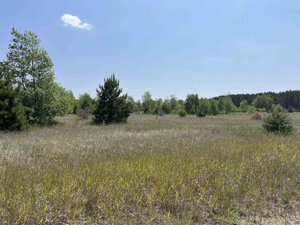S Westwood Rapid River Township, MI 49646