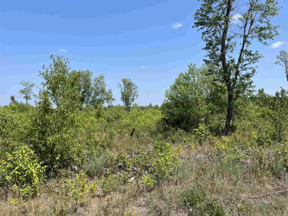 S Westwood Rapid River Township, MI 49646