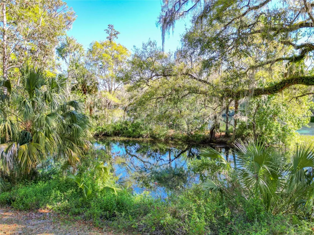 19535 SW 77TH LOOP Dunnellon, FL 34432