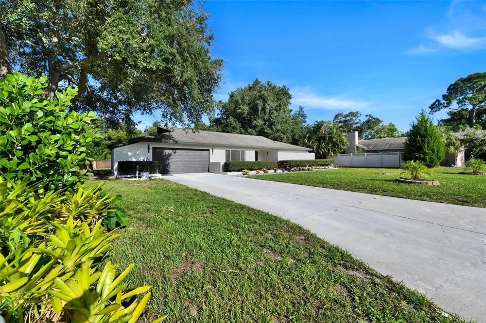 207 DUNBRIDGE DRIVE Palm Harbor, FL 34684