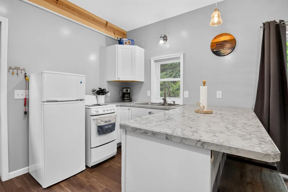 2183 White Birch Drive Mears, MI 49436