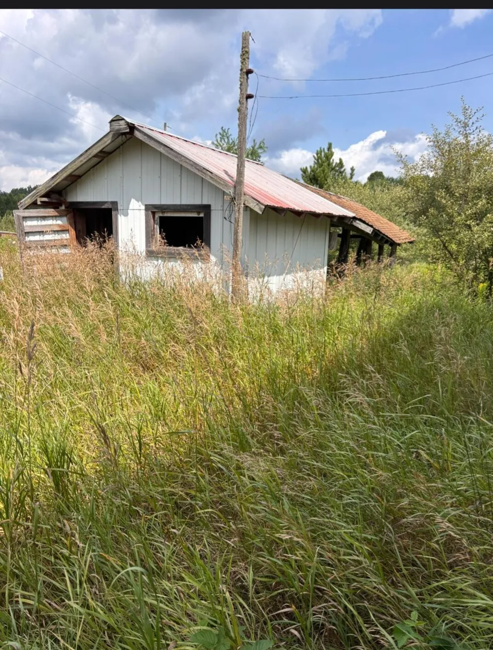 900 S Stout Road Millen Township, MI 48737