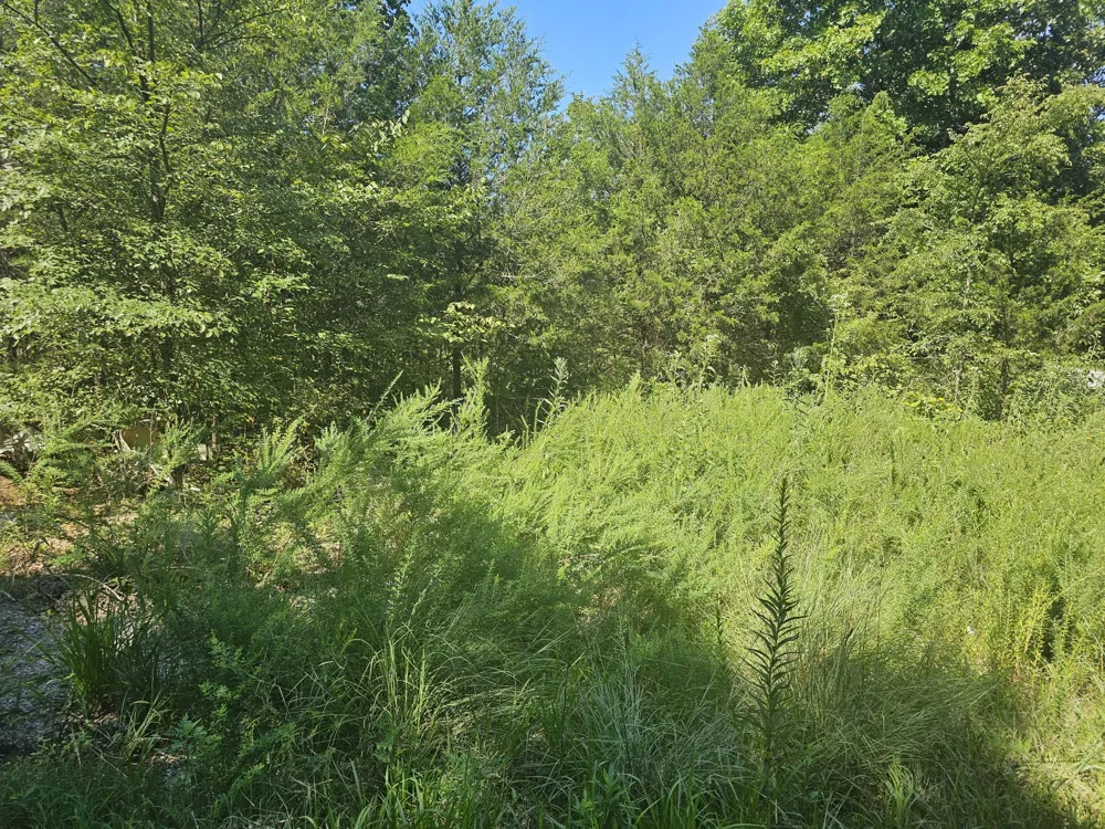 0 Underwood Rd Mount Juliet, TN 37122