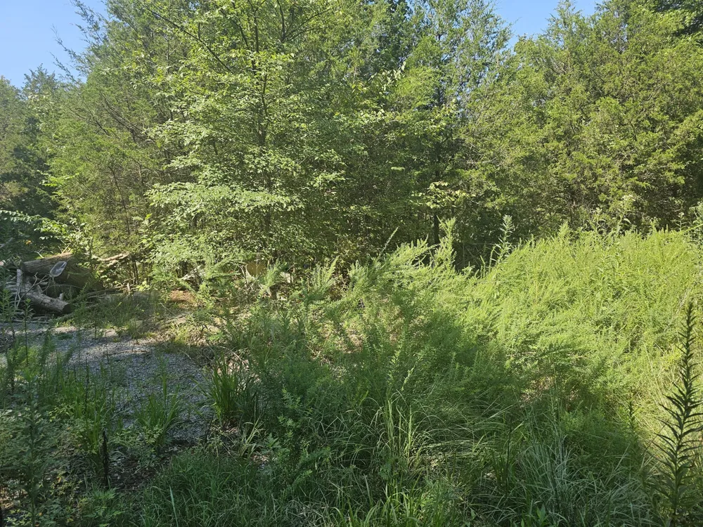 0 Underwood Rd Mount Juliet, TN 37122