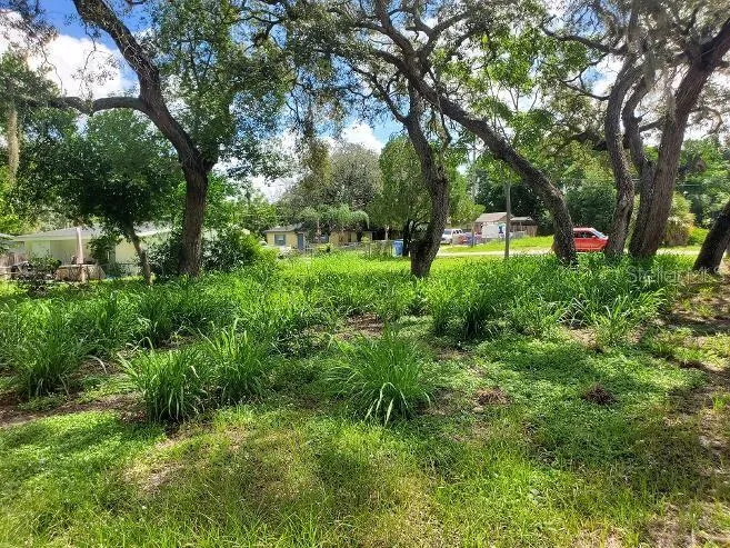 1922 VIRGINIA AVENUE Tarpon Springs, FL 34689
