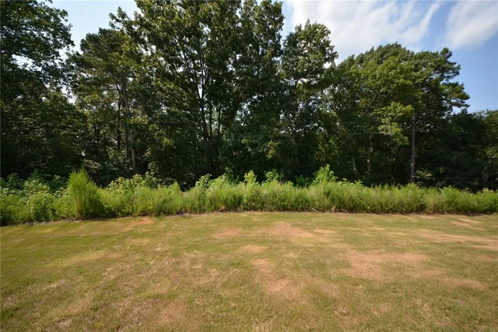 547 Hellen Valley Drive Braselton, GA 30517