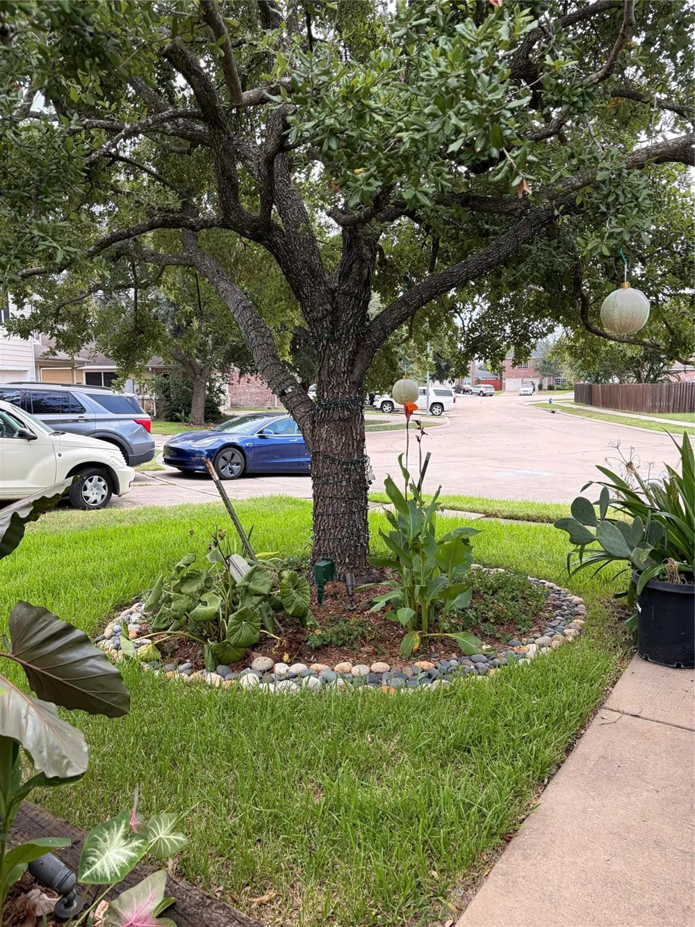 11042 Warath Oak Court Houston, TX 77065