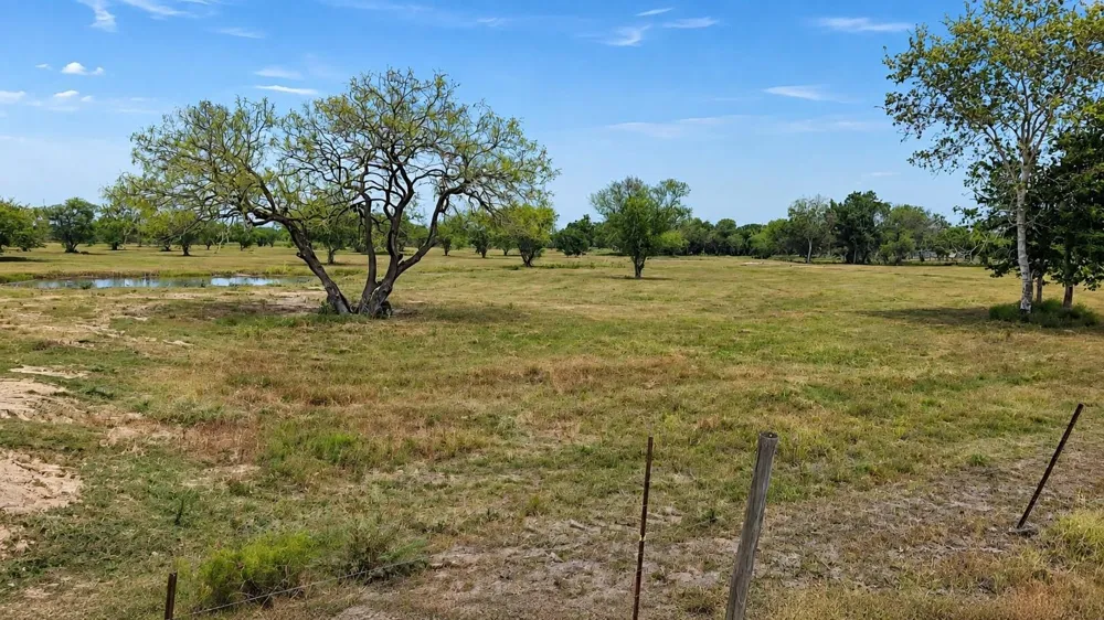 13540 Moody Road Needville, TX 77461