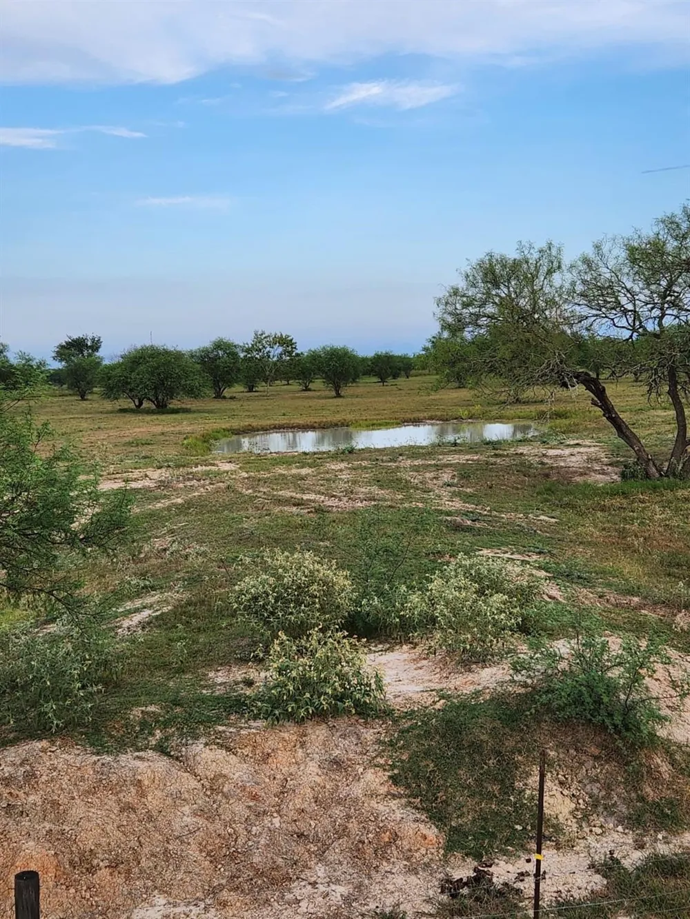 13540 Moody Road Needville, TX 77461