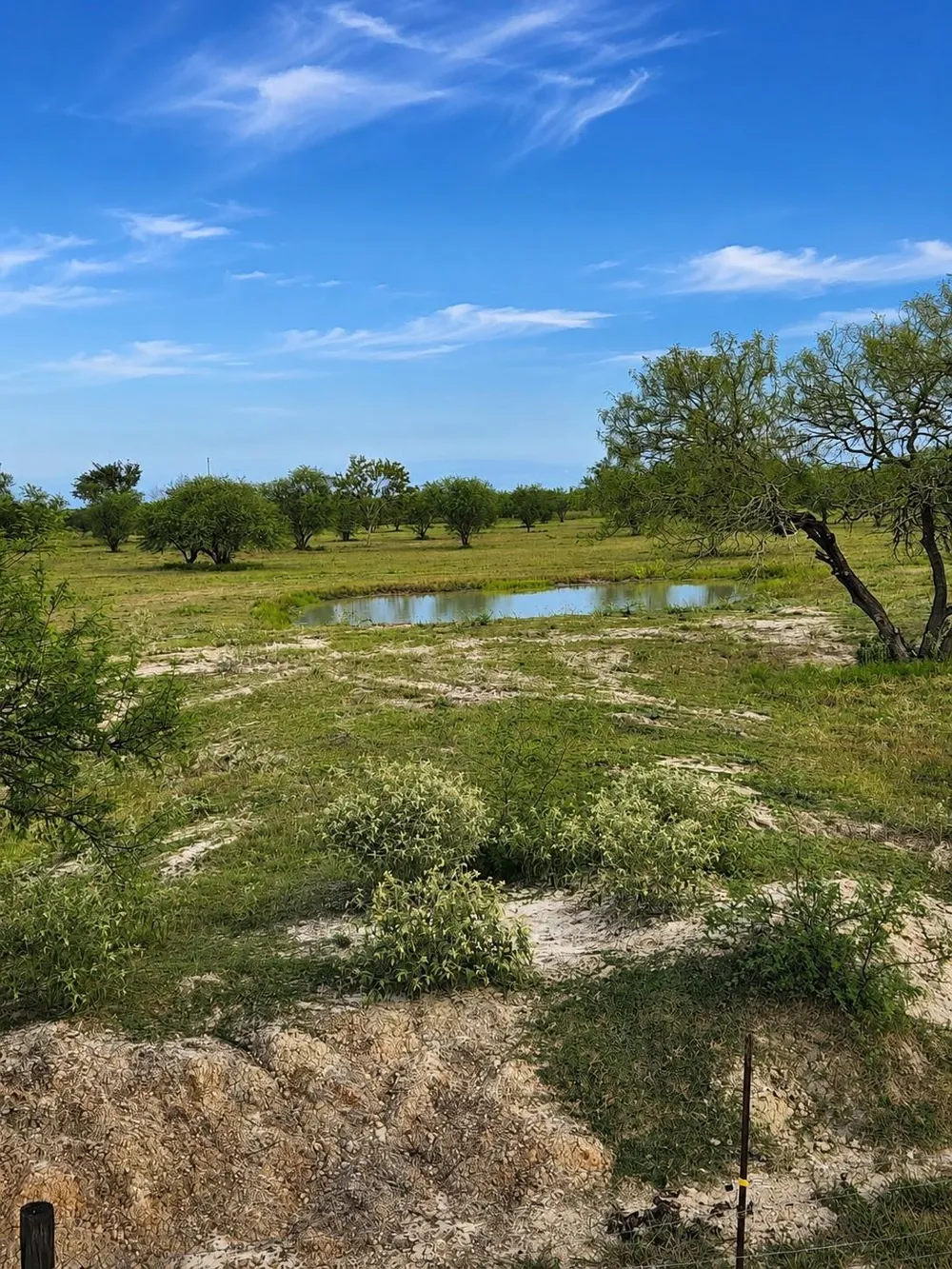 13540 Moody Road Needville, TX 77461