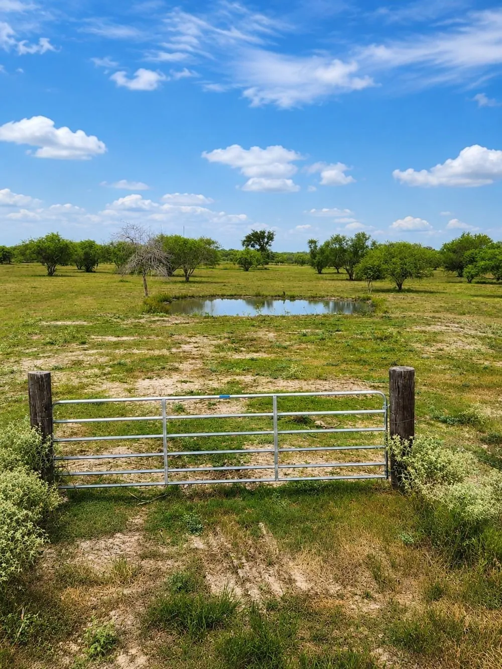 13530 Moody Road Needville, TX 77461