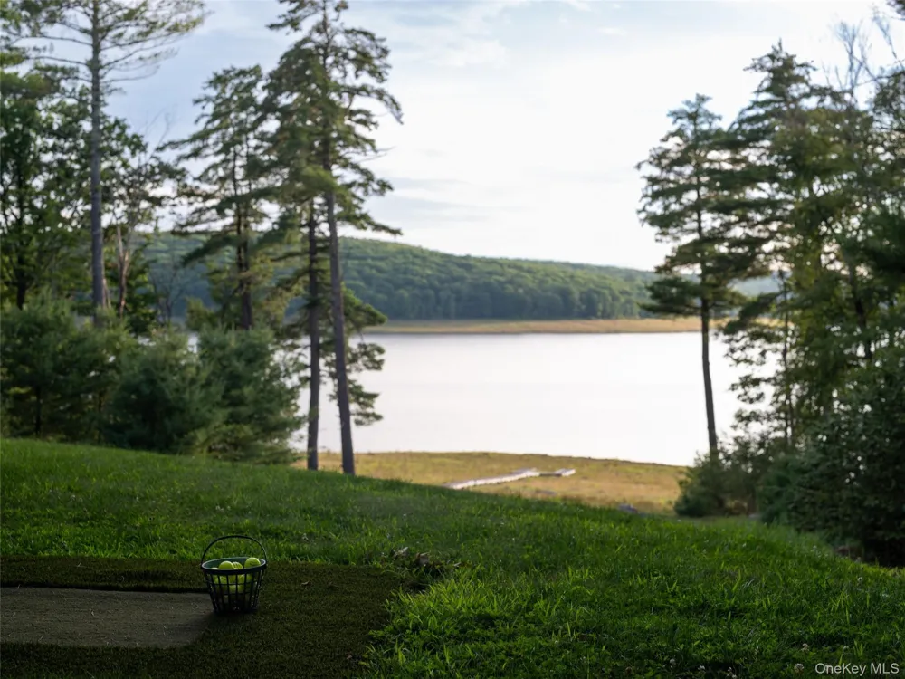 60 Top Ridge Trail White Lake, NY 12786
