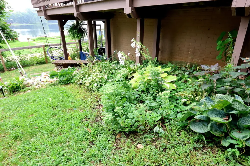 5656 Paradise Drive Reading Township, MI 49274