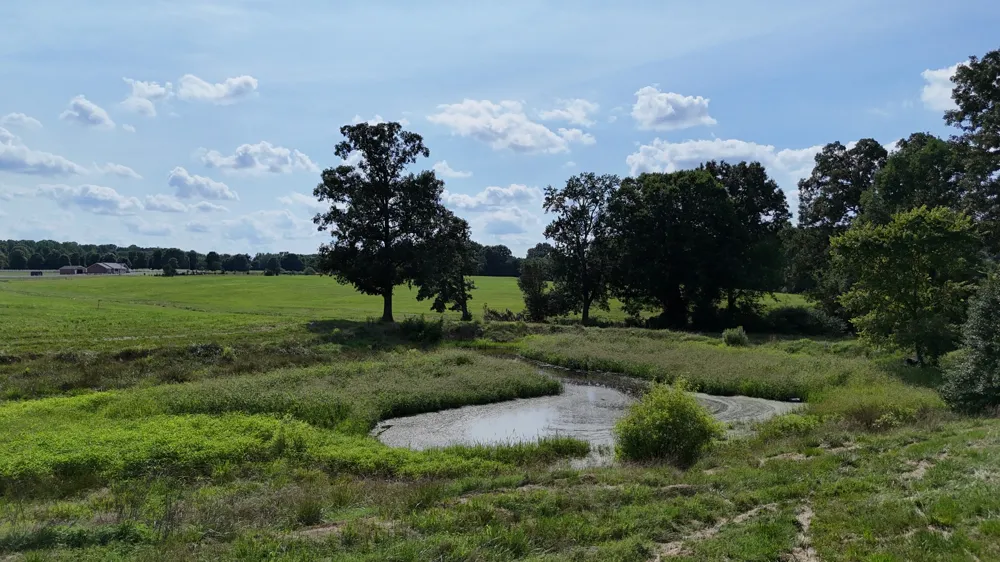 0 Bybee Branch Rd McMinnville, TN 37110