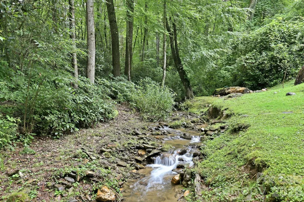 313 Walker Road Waynesville, NC 28786