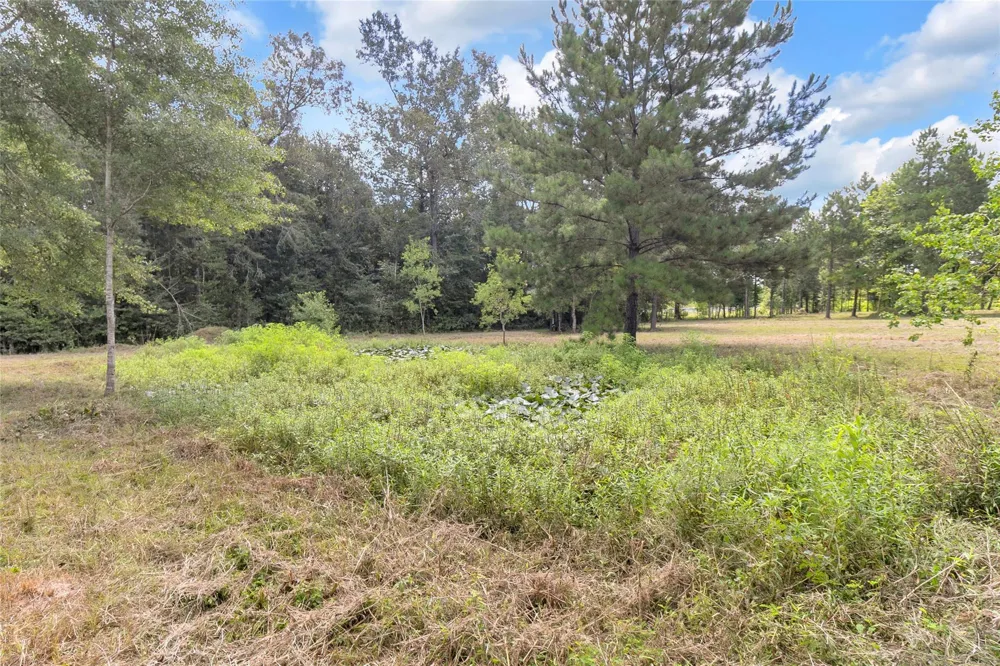 310 County Road 3280 Cleveland, TX 77327