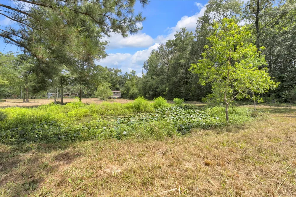 310 County Road 3280 Cleveland, TX 77327