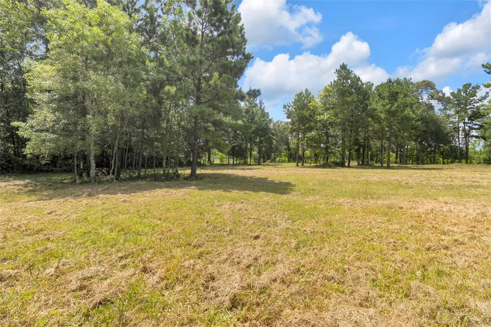 310 County Road 3280 Cleveland, TX 77327
