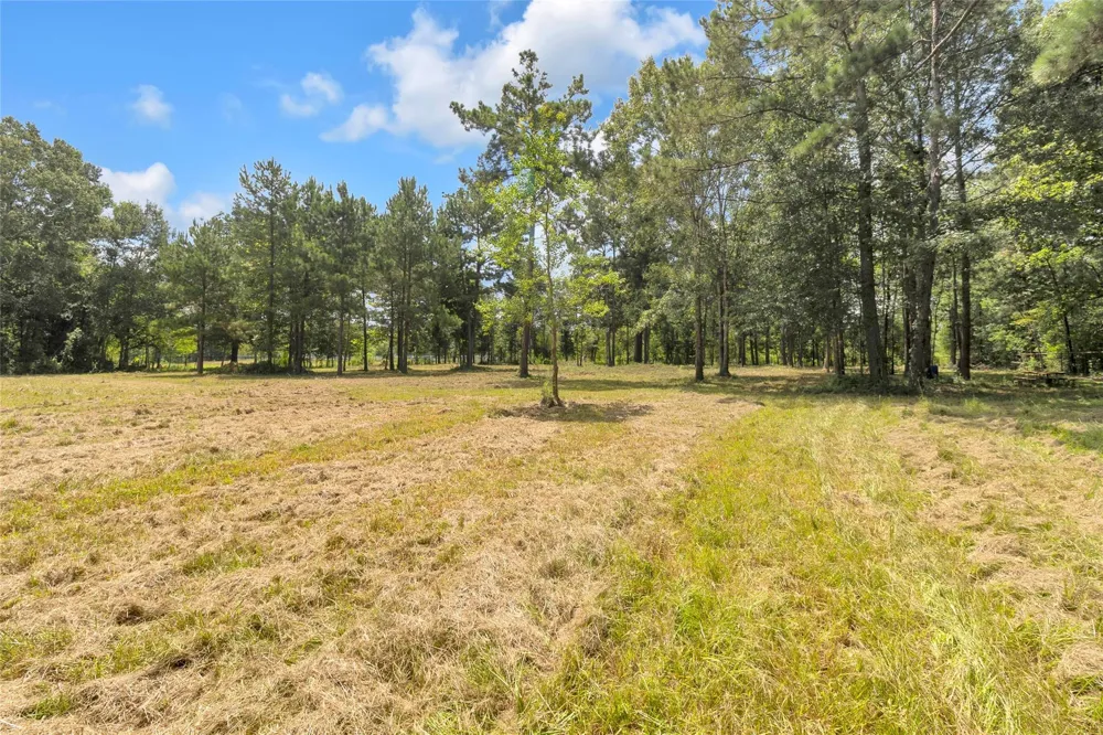 310 County Road 3280 Cleveland, TX 77327