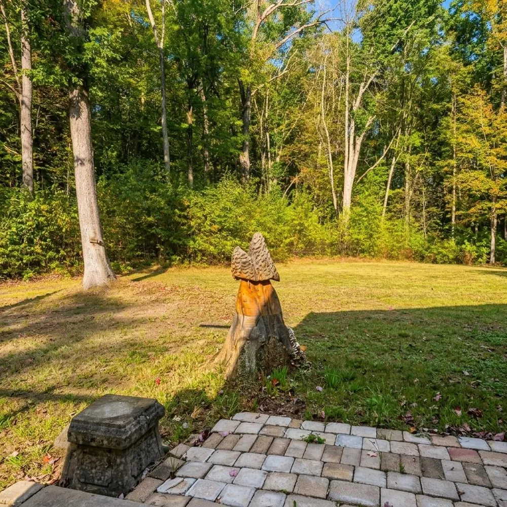2994 6th Street Wilcox Township, MI 49349