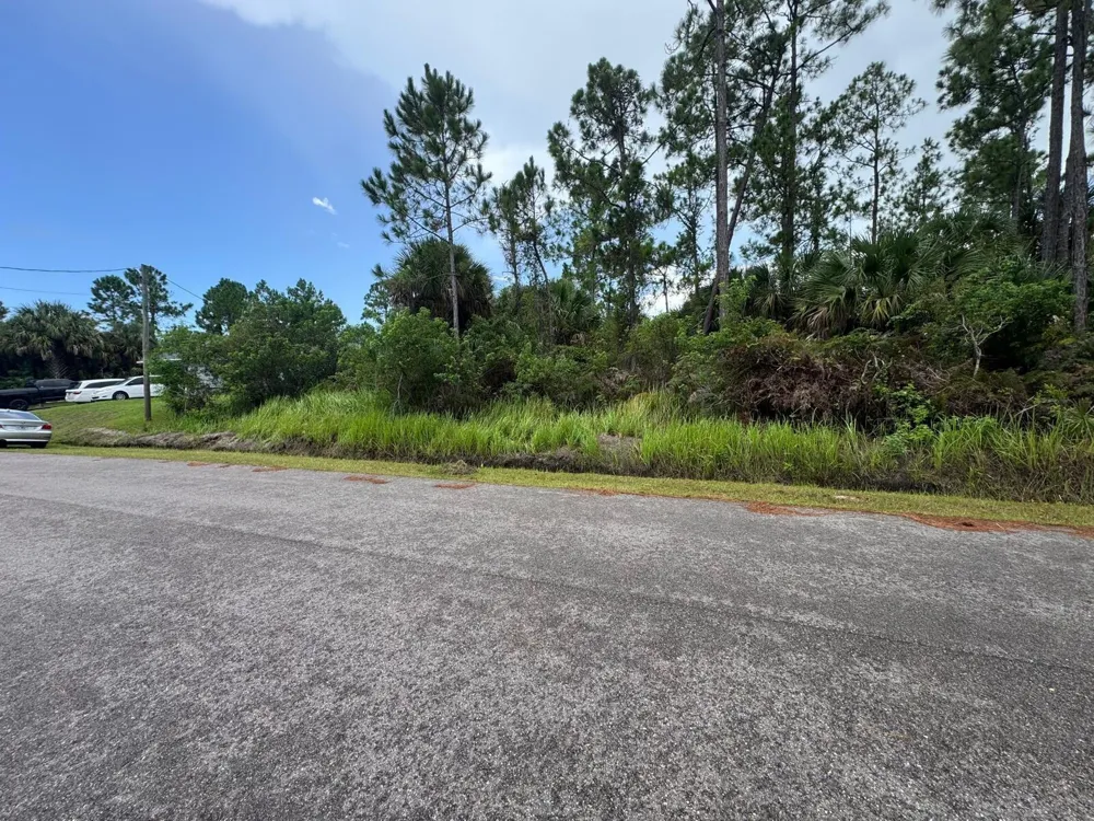 426 Lamon Street SW Palm Bay, FL 32908