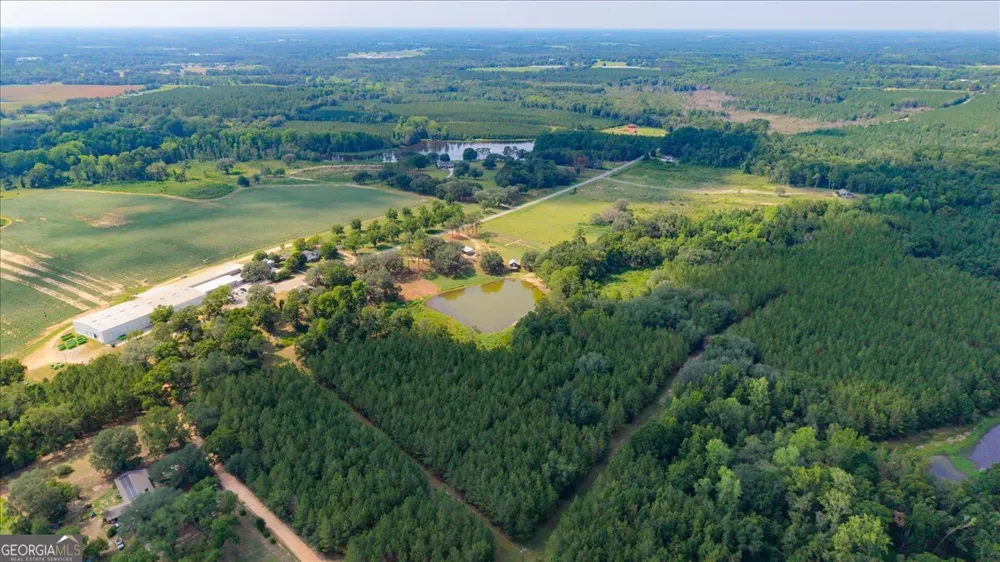 45 Nease RD Glennville, GA 30427