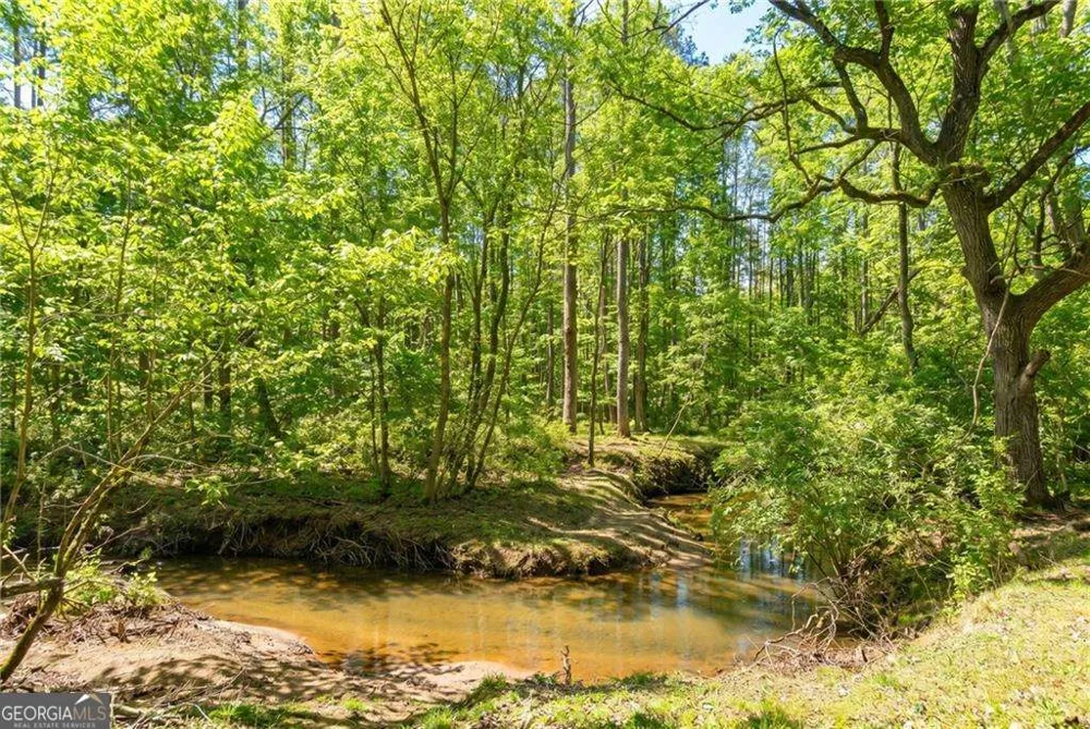 1783 4 Mile Church RD Ball Ground, GA 30107