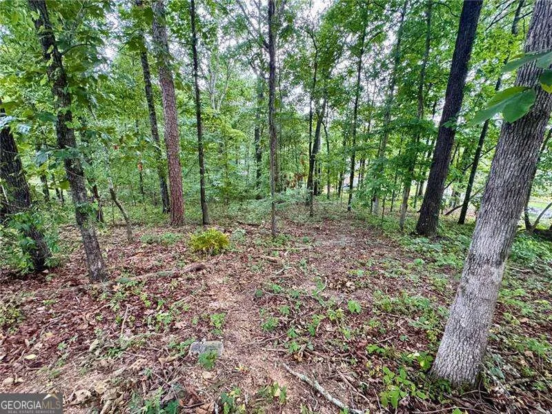 4205 Loftwood DR Dalton, GA 30710