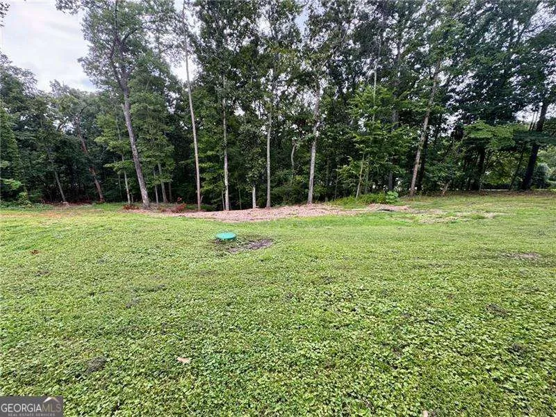 4205 Loftwood DR Dalton, GA 30710