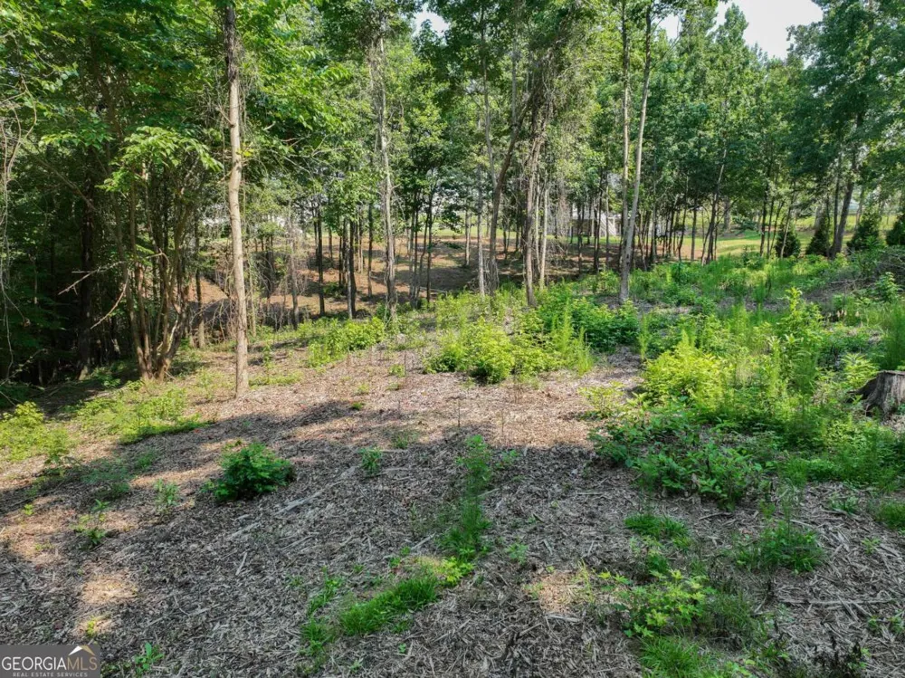 2789 Malcom Estates RDG Bogart, GA 30622