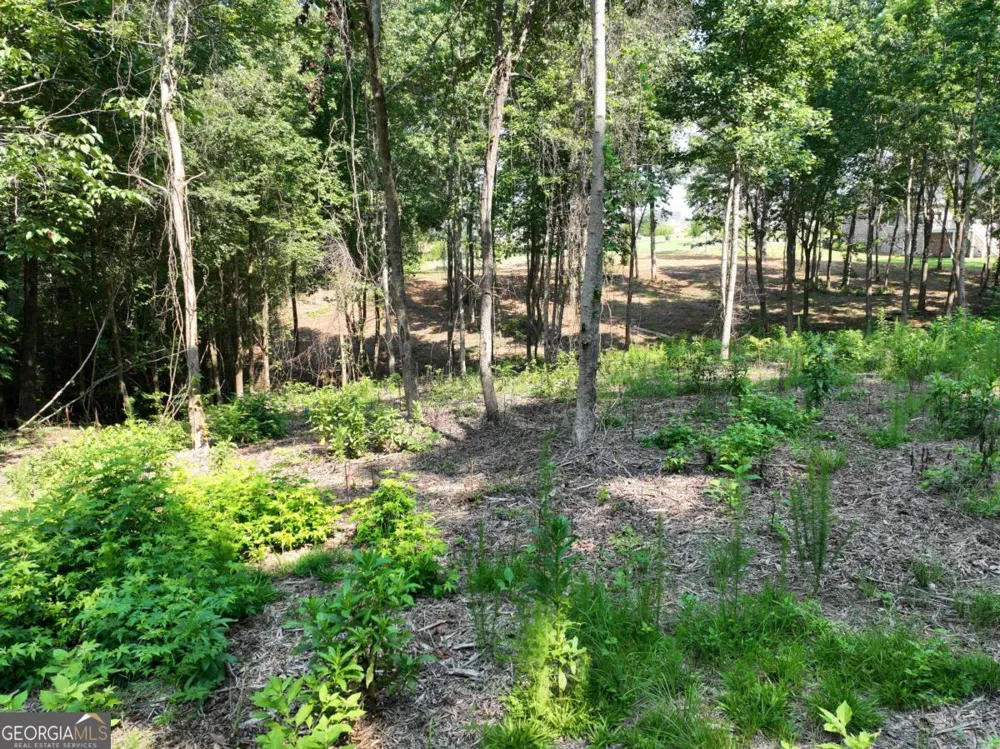 2789 Malcom Estates RDG Bogart, GA 30622