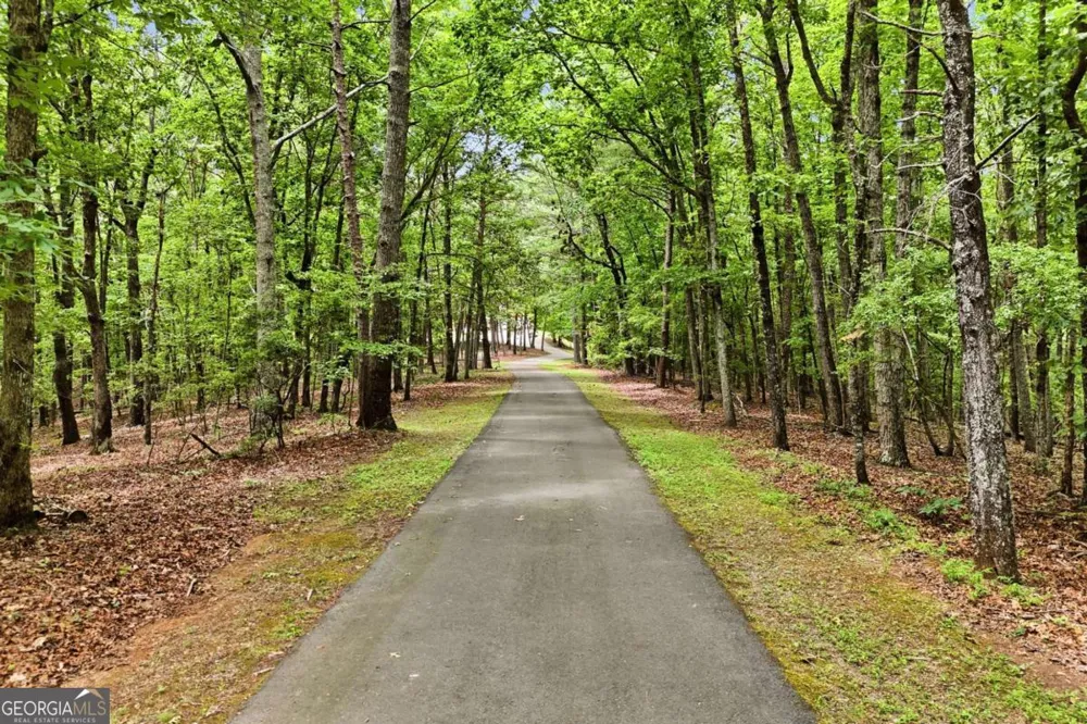 116 Hidden Cove DR Ball Ground, GA 30107