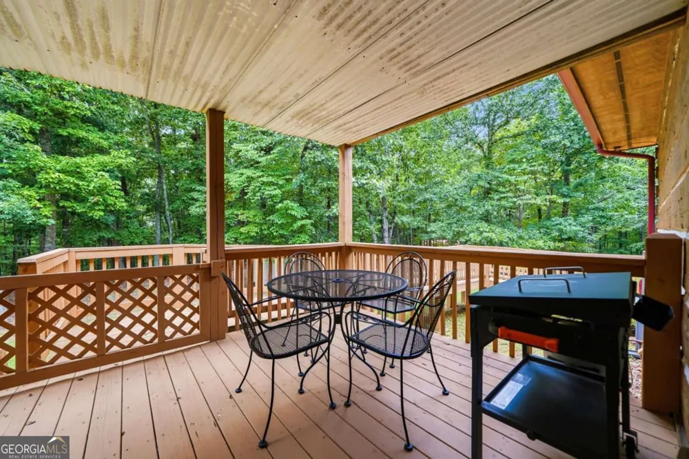 116 Hidden Cove DR Ball Ground, GA 30107