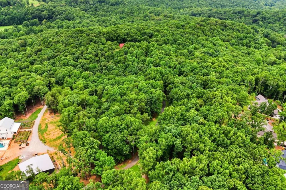 116 Hidden Cove DR Ball Ground, GA 30107