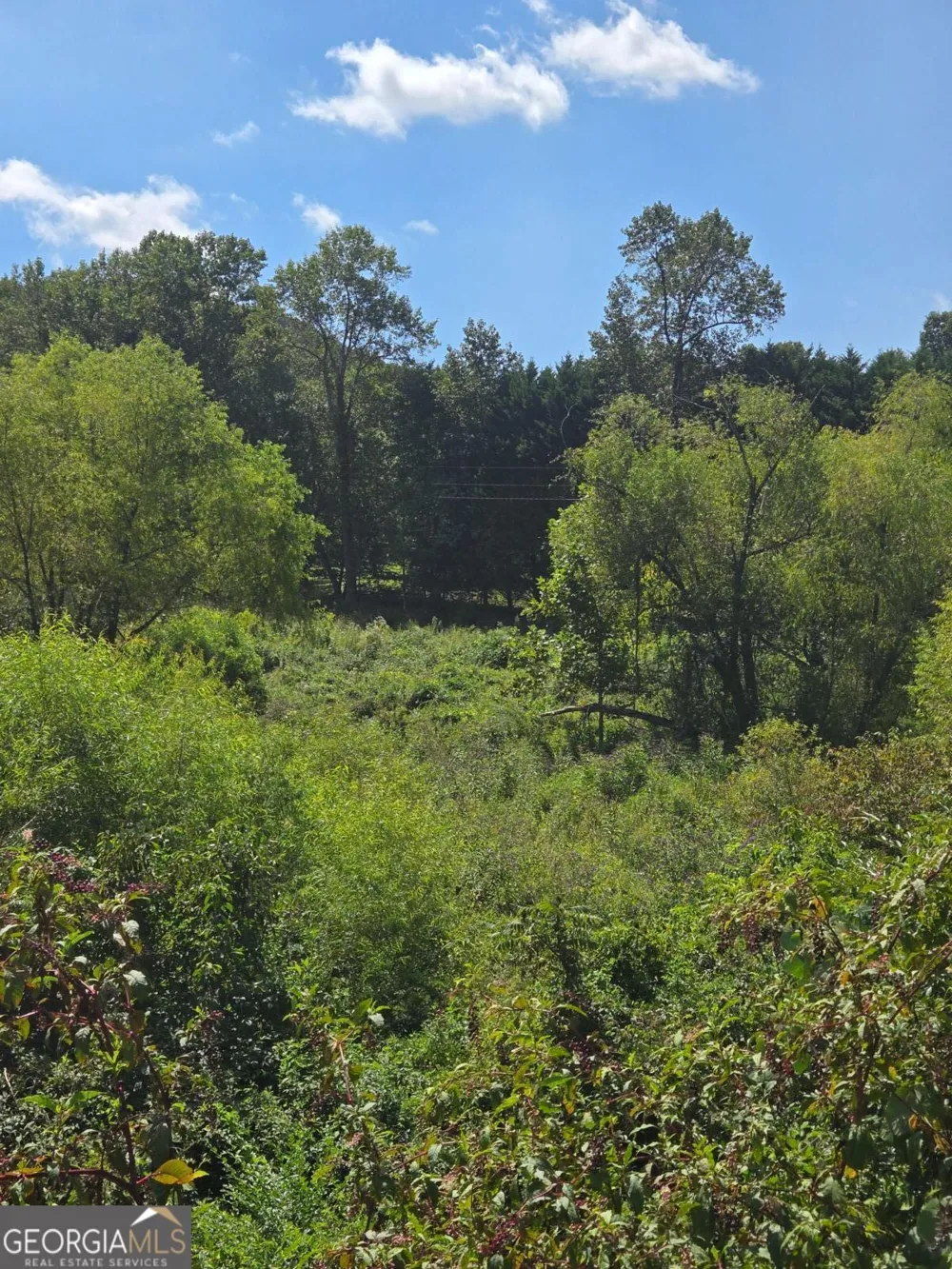 0 Highway 115 E Cleveland, GA 30528