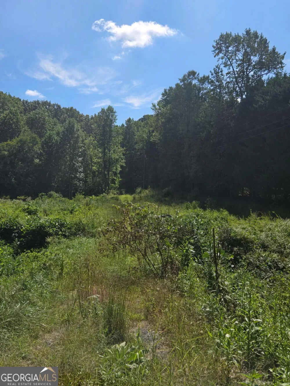 0 Highway 115 E Cleveland, GA 30528