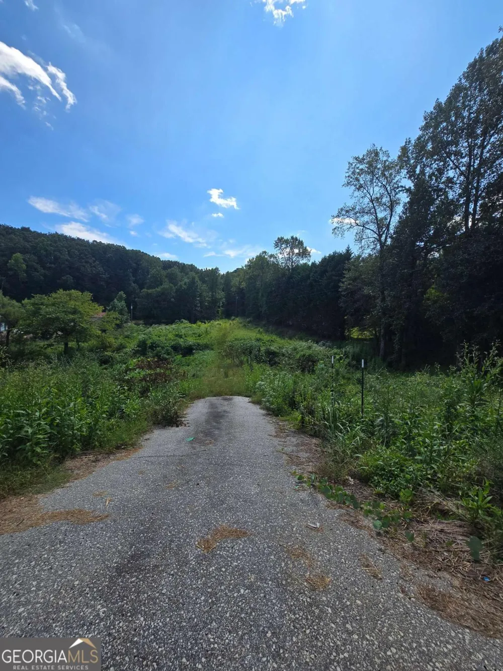 0 Highway 115 E Cleveland, GA 30528