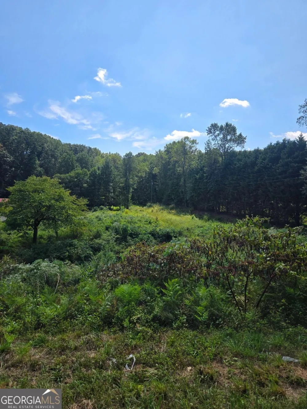 0 Highway 115 E Cleveland, GA 30528