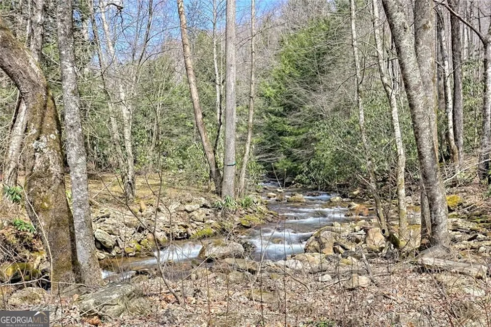 2960 Tate City RD Hayesville, NC 28904