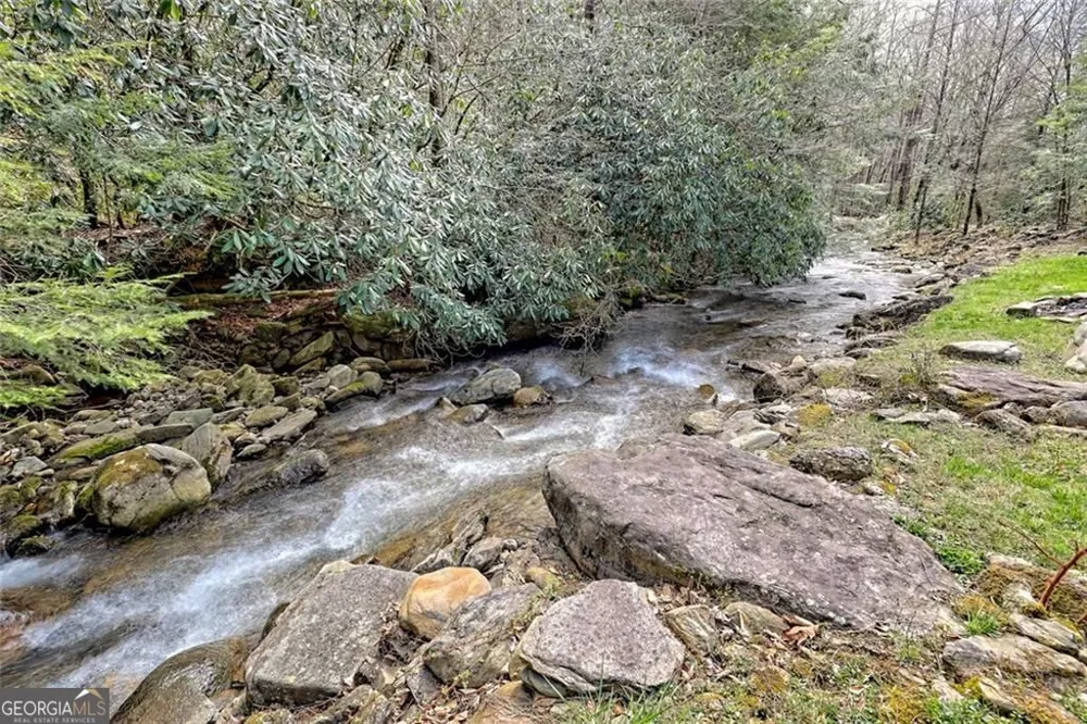 2960 Tate City RD Hayesville, NC 28904