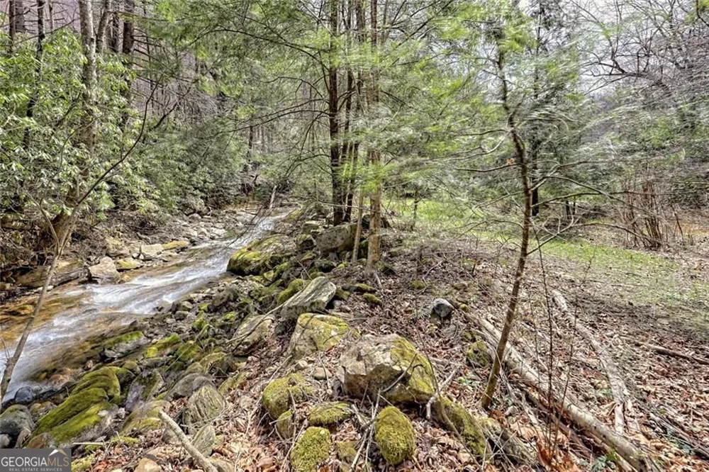 2960 Tate City RD Hayesville, NC 28904