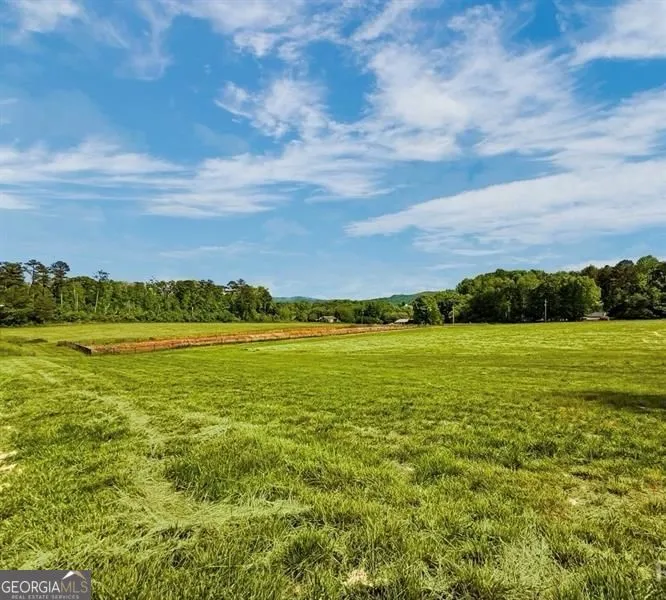 114 PALISADE DR Rydal, GA 30171