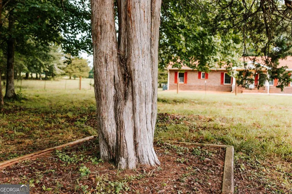 621 Elberton RD Lexington, GA 30648