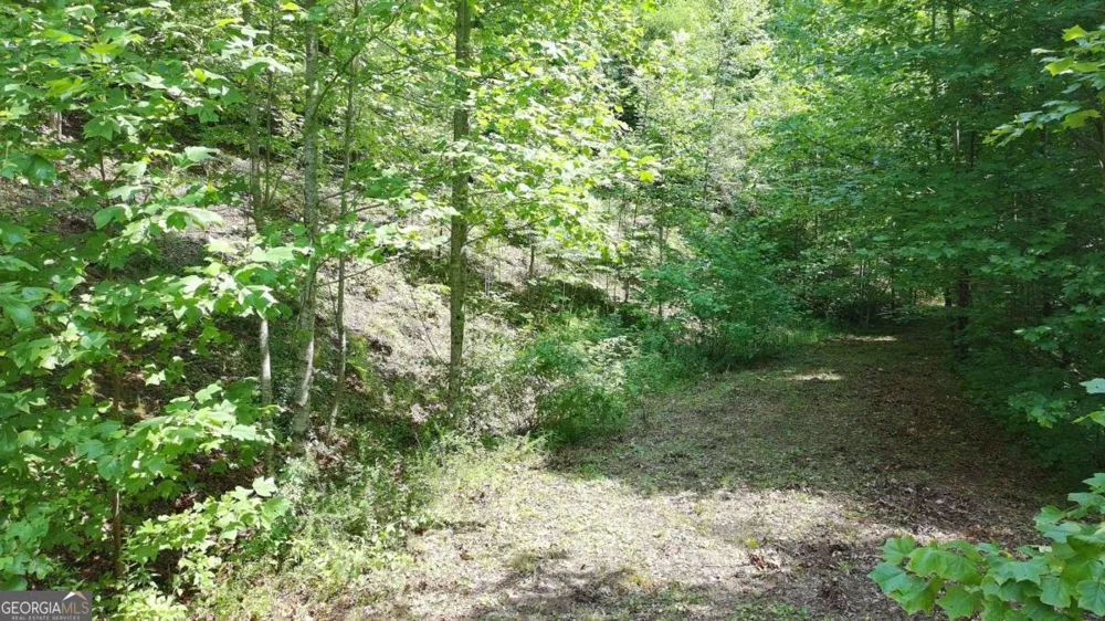 31 & 32 Wolfpen Gap RD Hiawassee, GA 30546