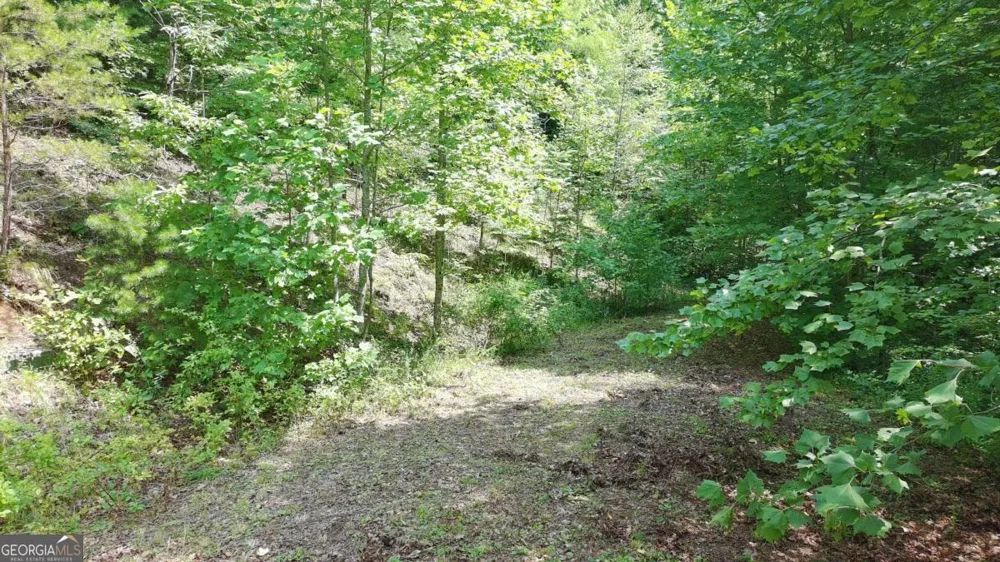 31 & 32 Wolfpen Gap RD Hiawassee, GA 30546