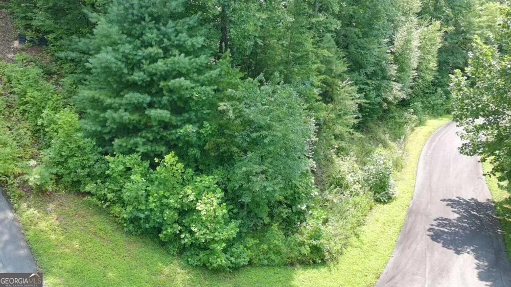 31 & 32 Wolfpen Gap RD Hiawassee, GA 30546